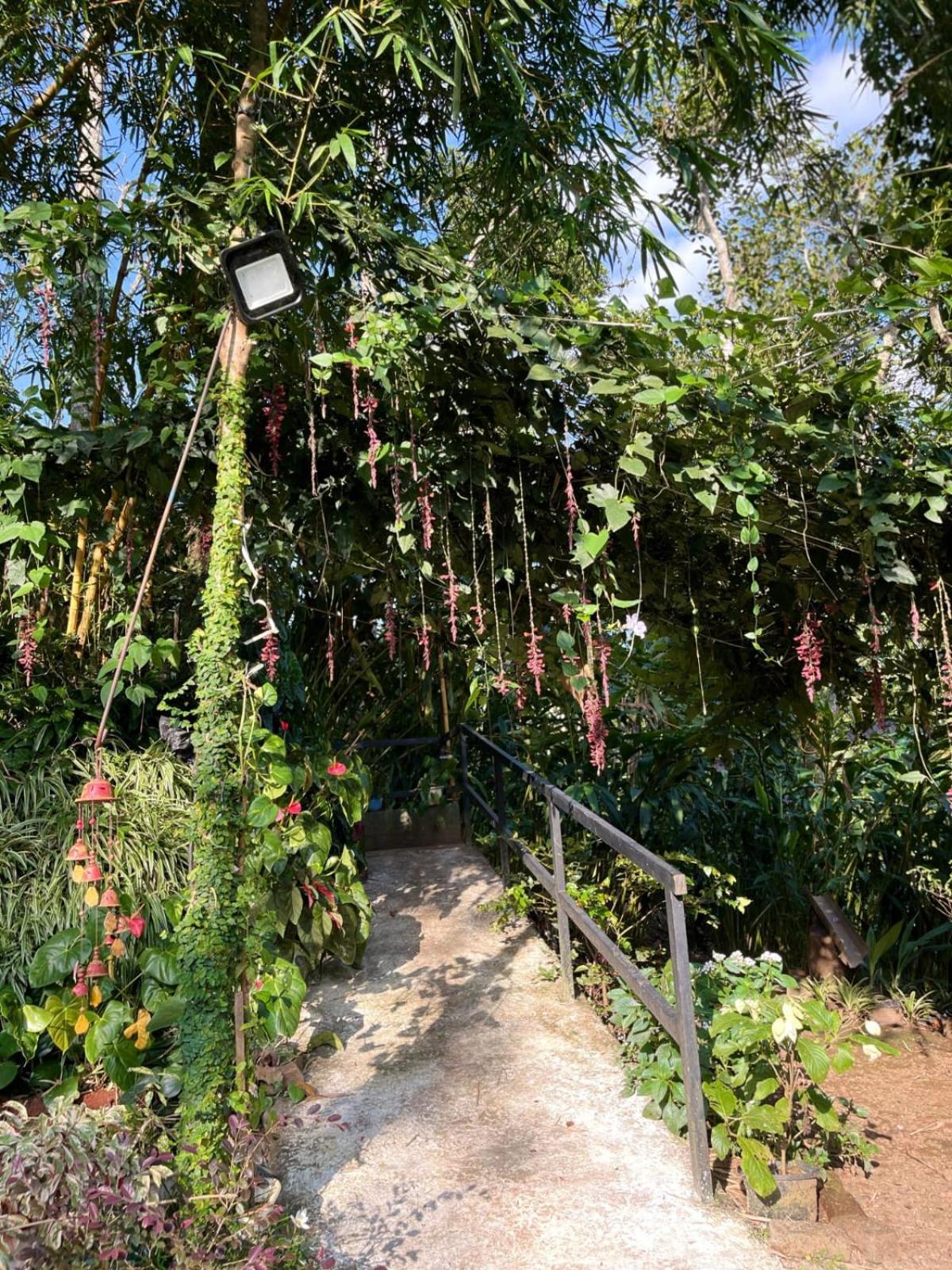 Villa Lush Acres Thekkady Esterno foto