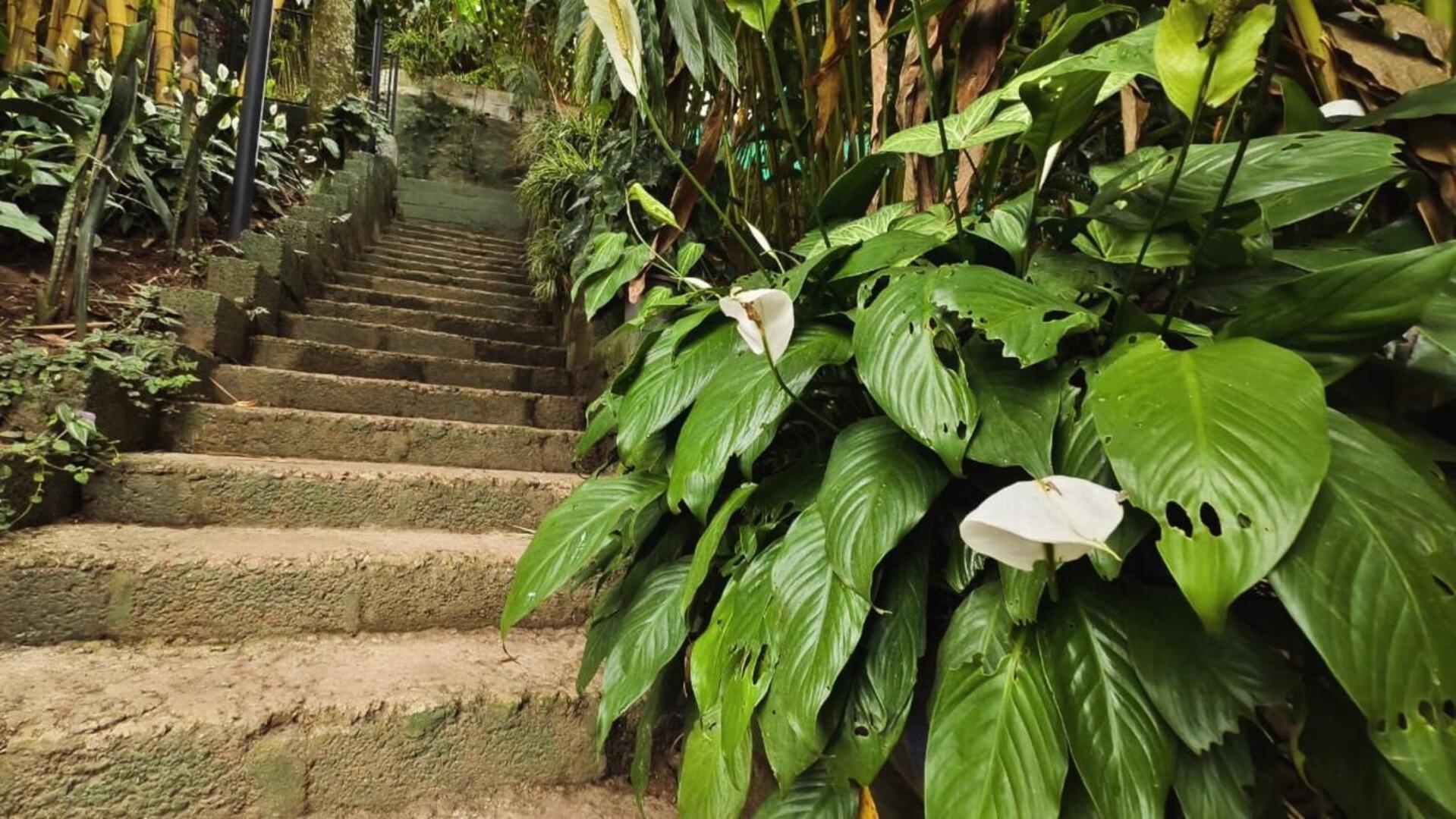 Villa Lush Acres Thekkady Esterno foto